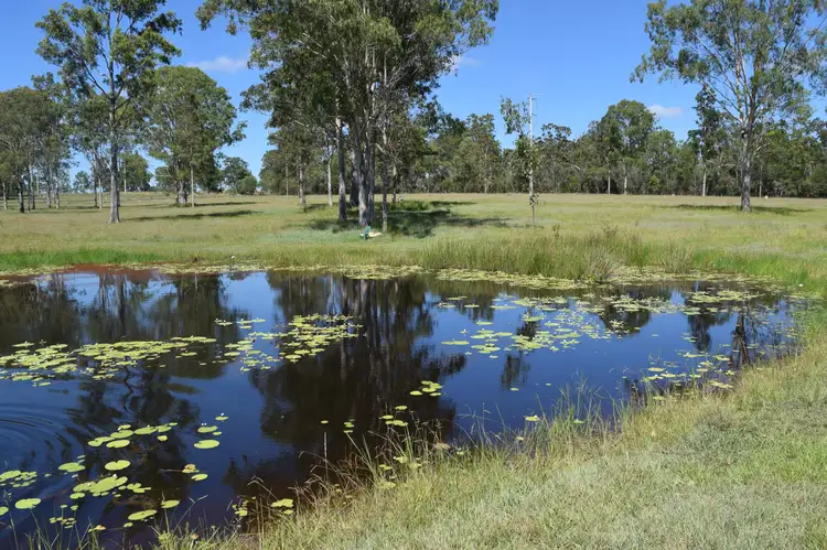 Main view of Homely rural property listing, 2766 Summerland Way, Dilkoon NSW 2460