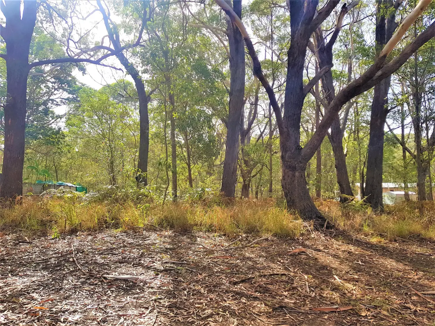 Main view of Homely land listing, 16 Bowen Avenue, Russell Island QLD 4184