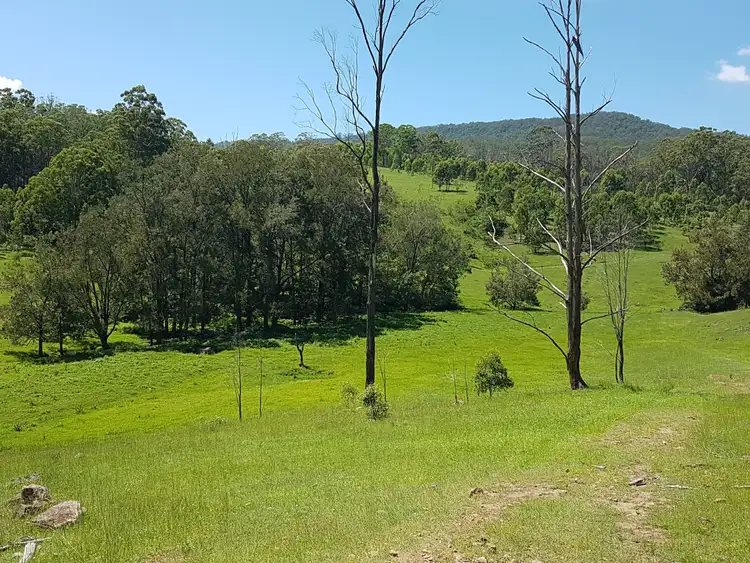 Seventh view of Homely rural property listing, 10570 Mount Lindesay Road, Killarney QLD 4373