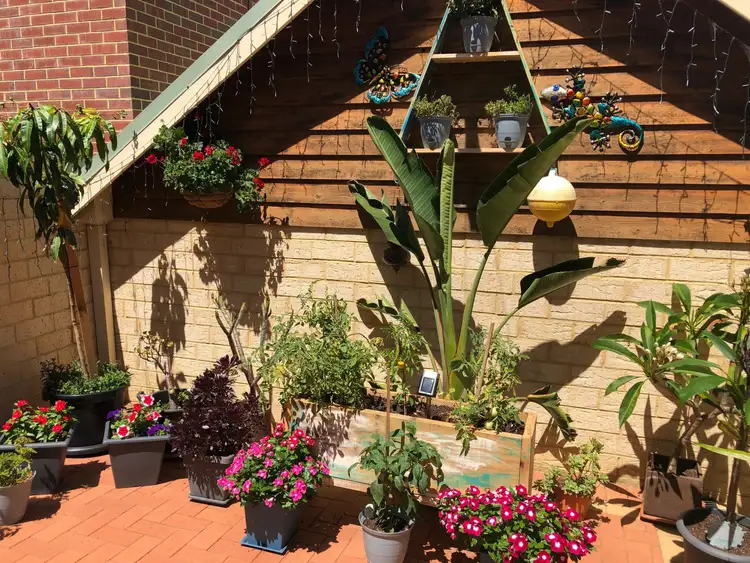 Second view of Homely house listing, 72C Regents Park Rd, Joondalup WA 6027