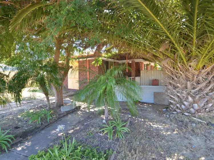 19 Anthony Street, Harvey WA 6220