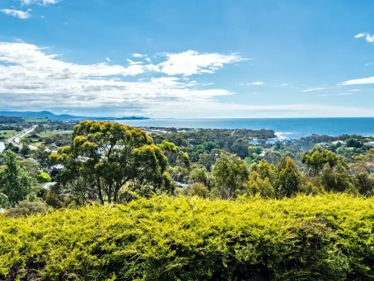 Second view of Homely house listing, 38 Braddons Lookout Road, Leith TAS 7315