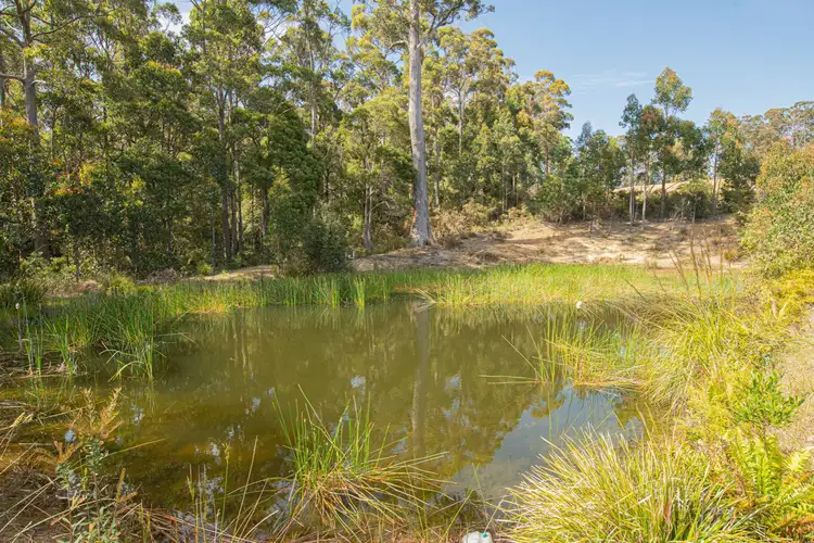 Fourth view of Homely rural property listing, 49 Yelton View Road, Notley Hills TAS 7275