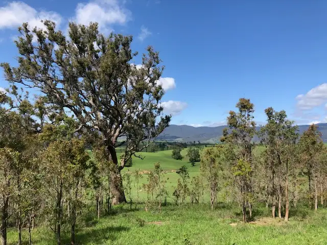 Third view of Homely land listing, 1 Robertson Street, Bemboka NSW 2550
