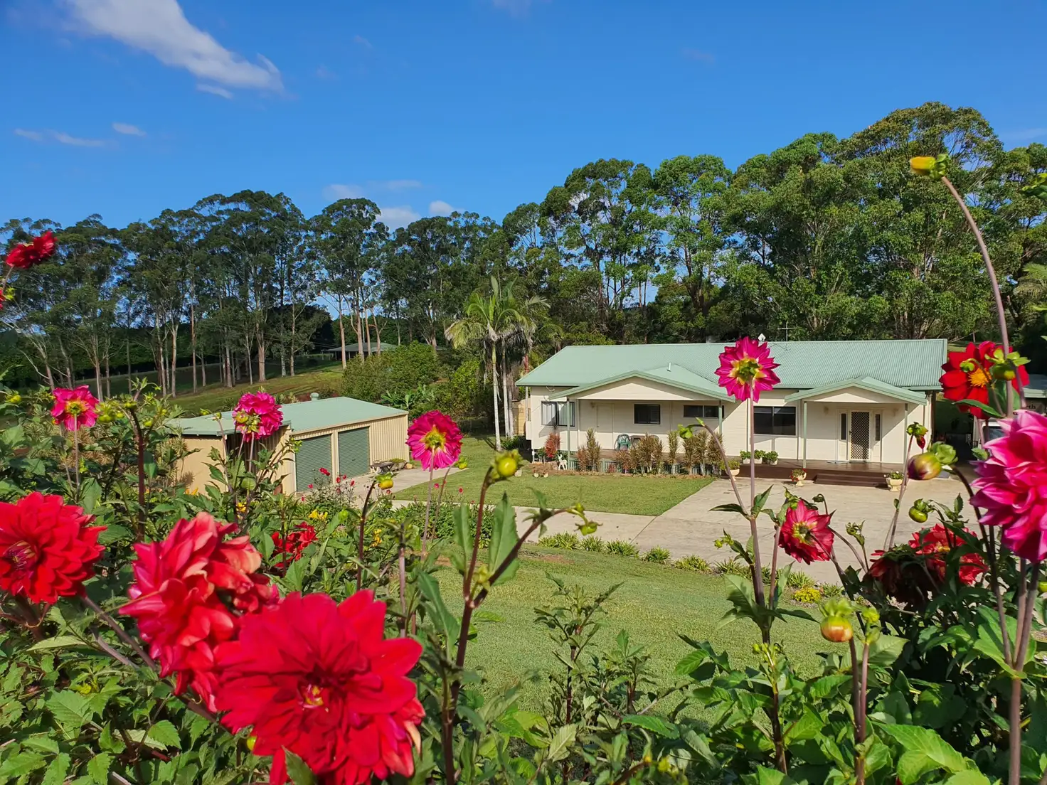 Main view of Homely rural property listing, 248 Sneaths Road, Wollongbar NSW 2477