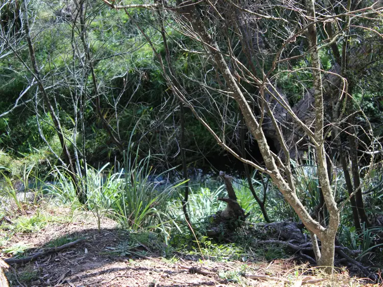 Third view of Homely land listing, 353 Torrington Road, Torrington NSW 2371