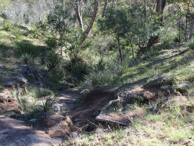Fourth view of Homely land listing, 353 Torrington Road, Torrington NSW 2371