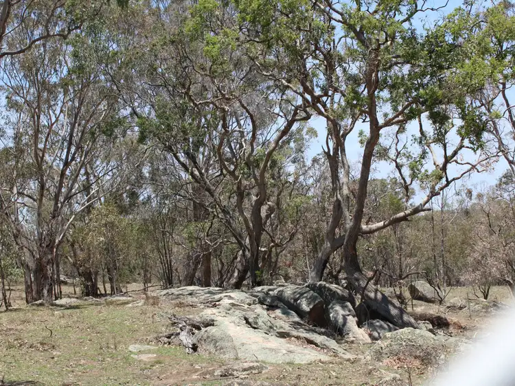 Seventh view of Homely land listing, 353 Torrington Road, Torrington NSW 2371