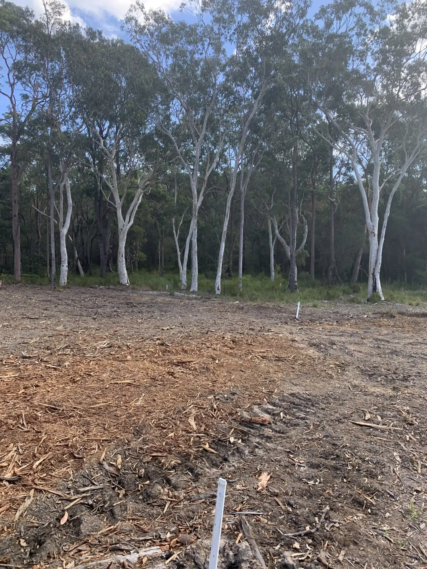 Main view of Homely land listing, 16 Scarborough Street, Morisset NSW 2264