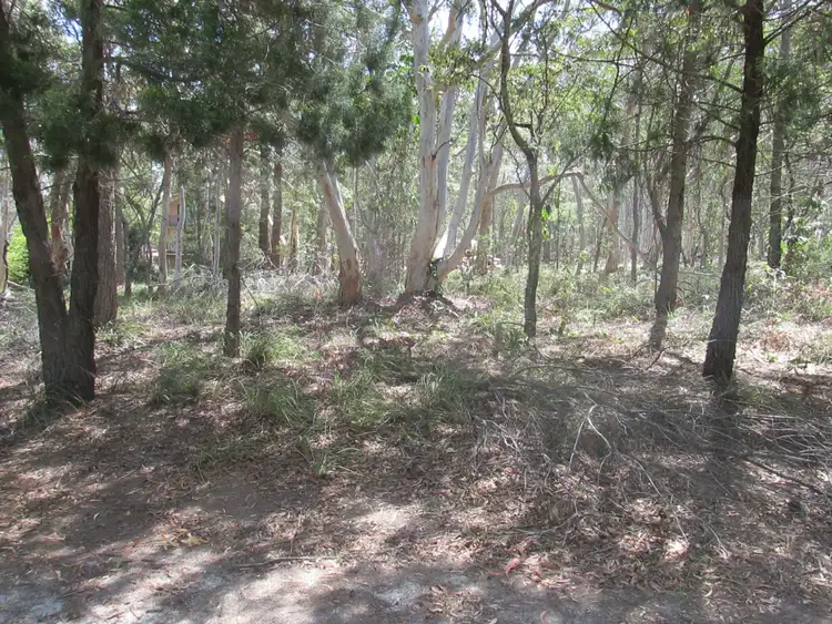 8 Parakeet Street, Macleay Island QLD 4184