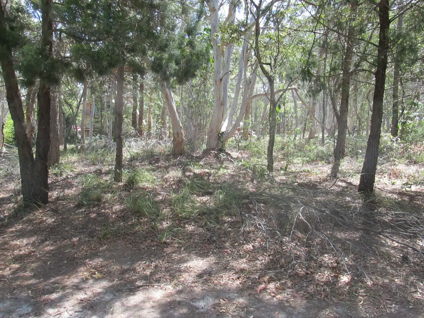 Main view of Homely land listing, 8 Parakeet Street, Macleay Island QLD 4184