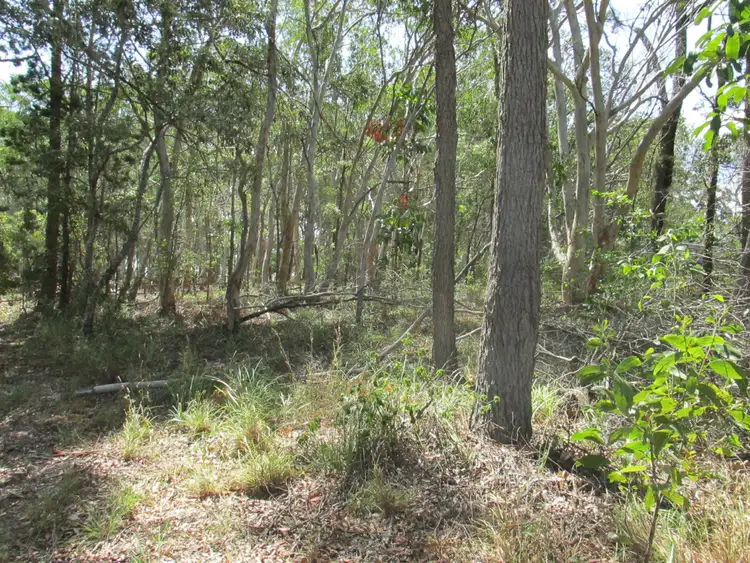 Second view of Homely land listing, 8 Parakeet Street, Macleay Island QLD 4184