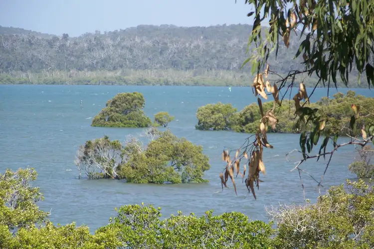 10 Atlantic st, Lamb Island QLD 4184