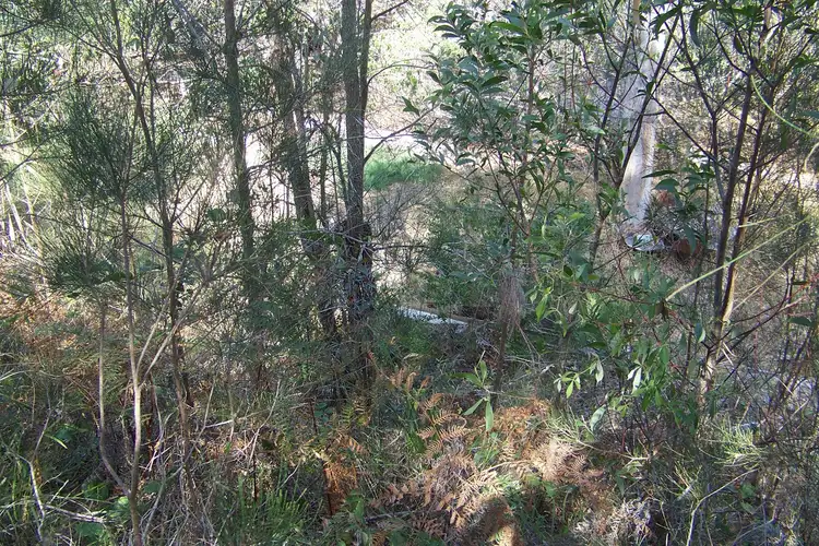 Fifth view of Homely land listing, 10 Atlantic st, Lamb Island QLD 4184