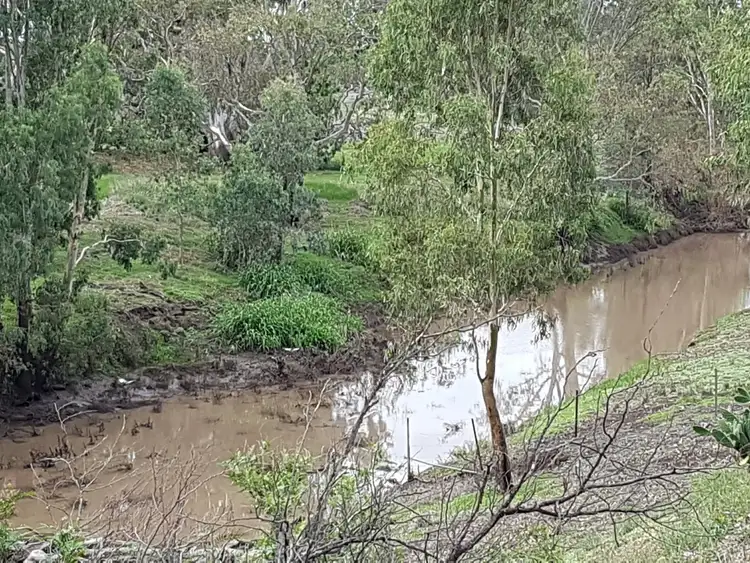 Third view of Homely rural property listing, 4205 Leyburn Cunningham Road, Wheatvale QLD 4370