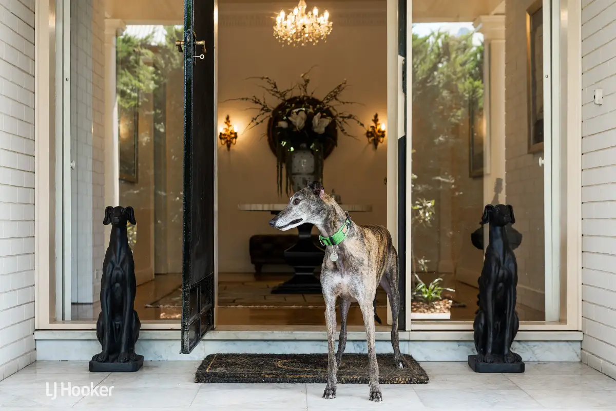 Main view of Homely house listing, 13 Robe Terrace, Medindie SA 5081