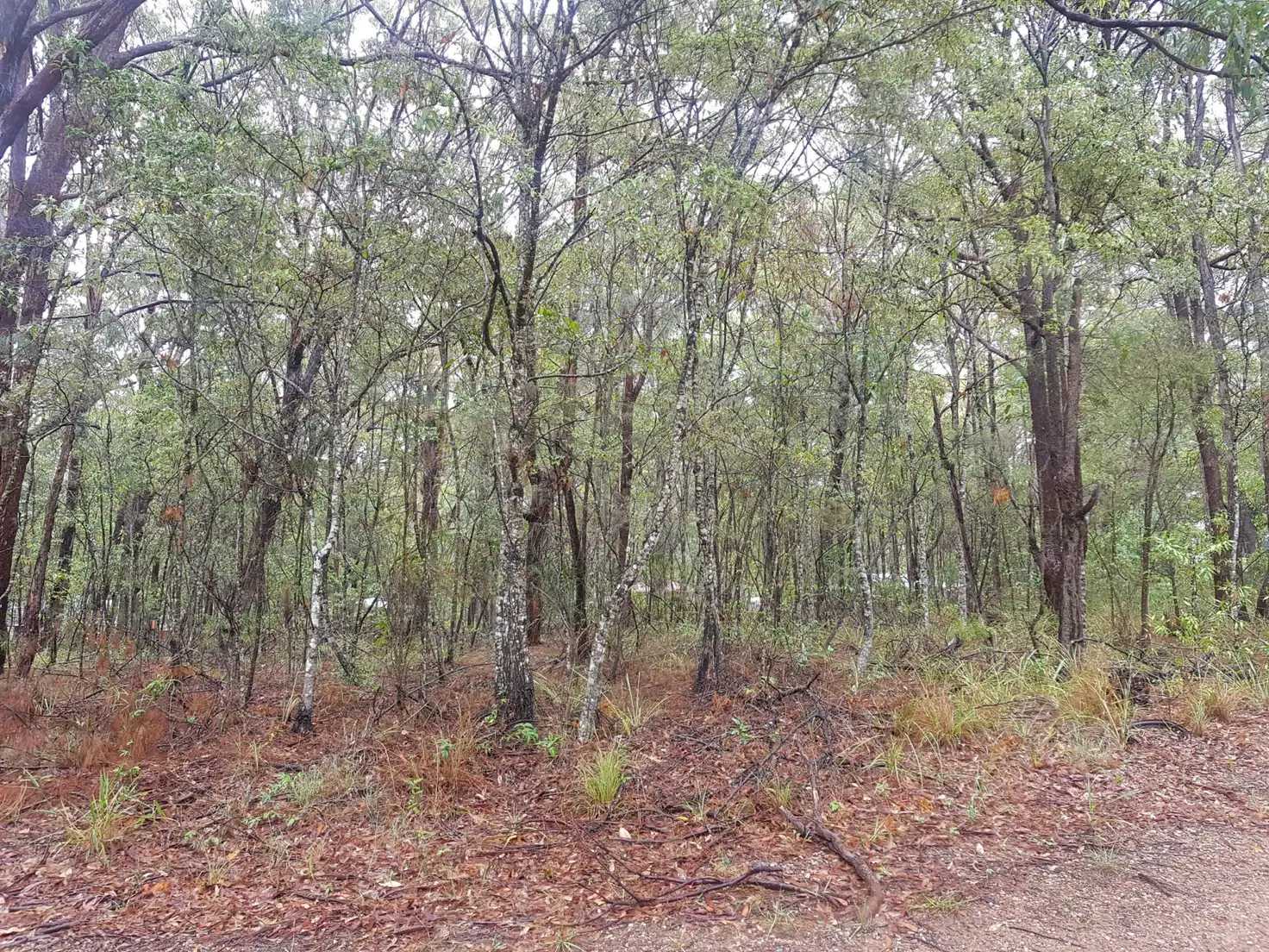 Main view of Homely land listing, 11 Forest Hill Road, Russell Island QLD 4184