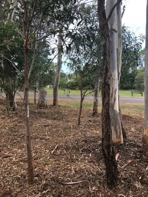 Second view of Homely land listing, 108 The Esplanade, Karragarra Island QLD 4184