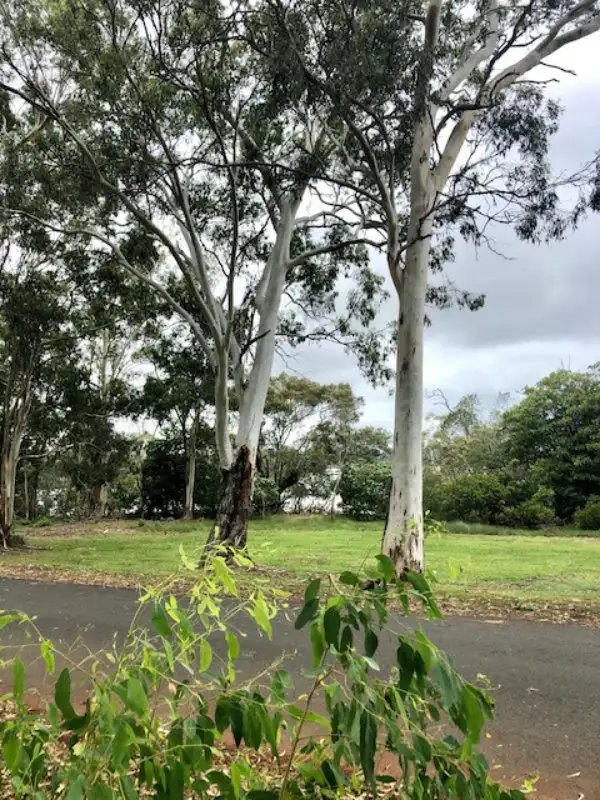 Fifth view of Homely land listing, 108 The Esplanade, Karragarra Island QLD 4184