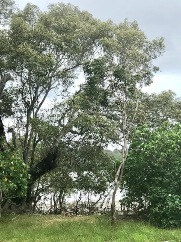 Sixth view of Homely land listing, 108 The Esplanade, Karragarra Island QLD 4184