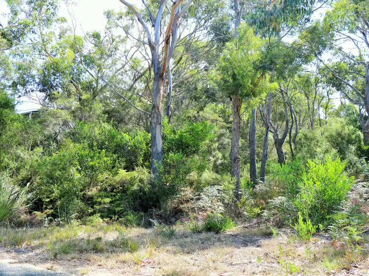 Seventh view of Homely land listing, 10 Freshwater Street, Beaumaris TAS 7215