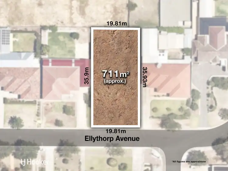 Third view of Homely house listing, 12 Ellythorp Avenue, Hectorville SA 5073