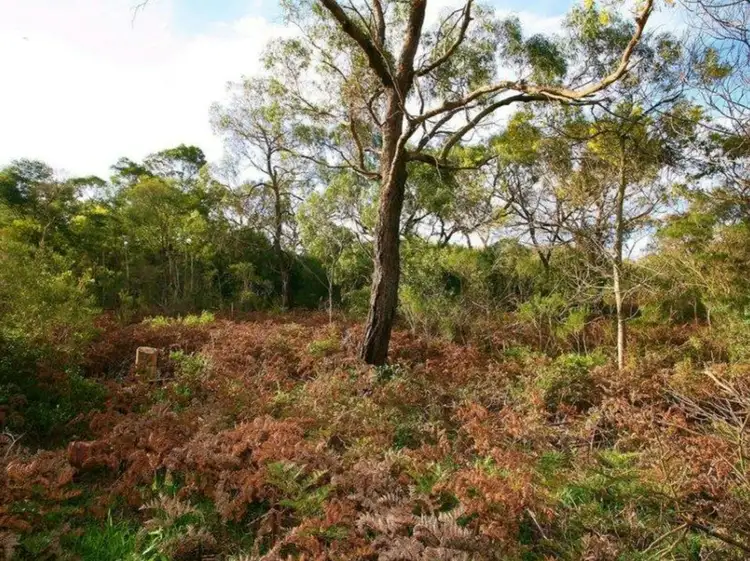 Second view of Homely land listing, 6 Albatross Court, Cannons Creek VIC 3977