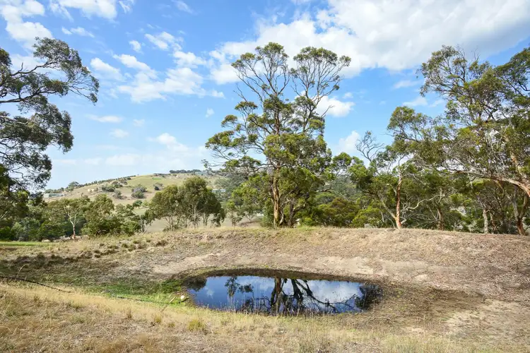 Fourth view of Homely rural property listing, 31 Glenvale Road, Lower Inman Valley SA 5211