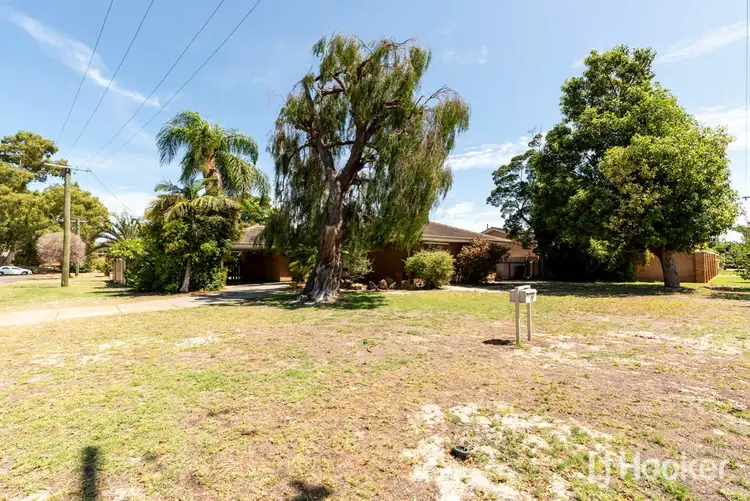 Fifth view of Homely house listing, 23 Tricourt Grove, Riverton WA 6148