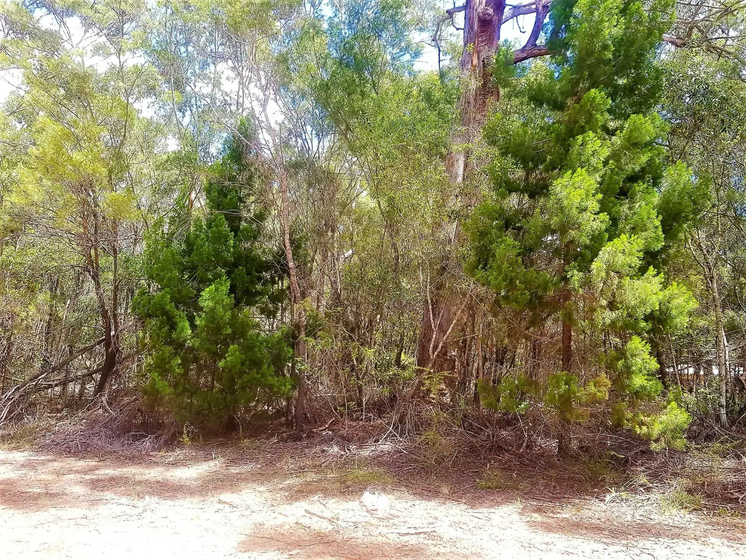 Main view of Homely land listing, 12 Catamaran Street, Russell Island QLD 4184