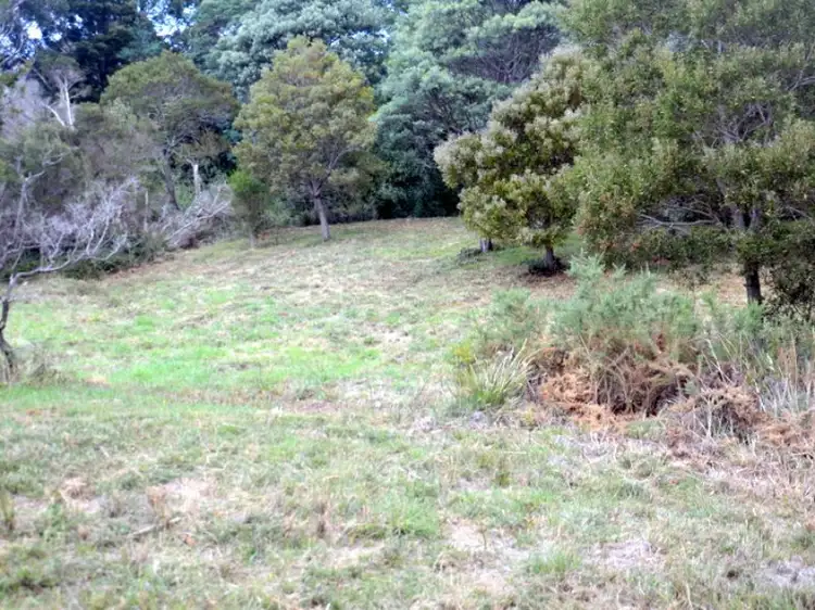 Third view of Homely land listing, 1 Tasman Highway, Seymour TAS 7215