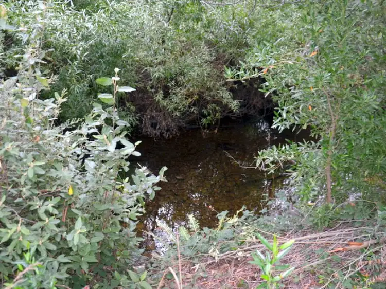 Fourth view of Homely land listing, 1 Tasman Highway, Seymour TAS 7215