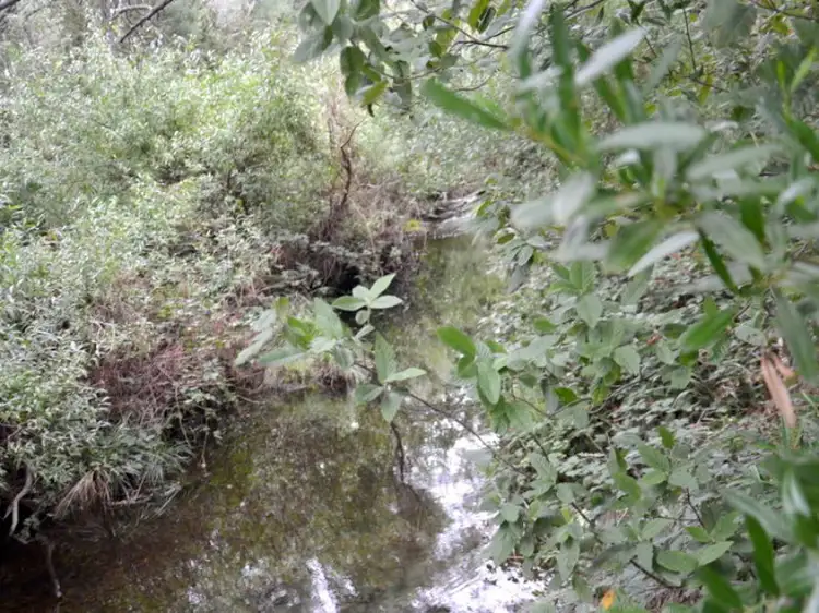 Fifth view of Homely land listing, 1 Tasman Highway, Seymour TAS 7215