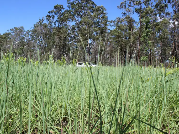 Sixth view of Homely rural property listing, Lot 43 Brewers Road, Kippenduff NSW 2469