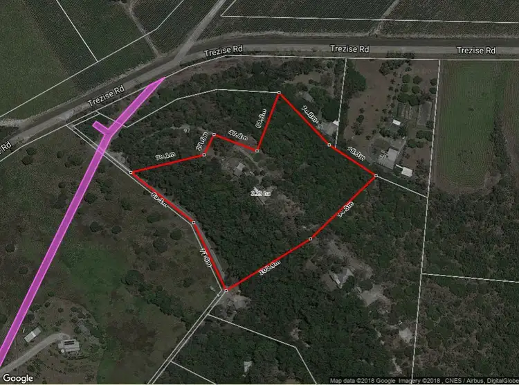 Third view of Homely land listing, 99 Trezise Road, Mowbray QLD 4877
