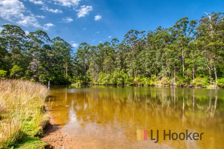 Third view of Homely rural property listing, 2773 Gloucester Road (Collins), Pemberton WA 6260