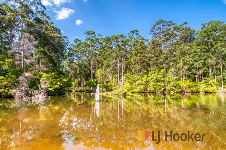 Fourth view of Homely rural property listing, 2773 Gloucester Road (Collins), Pemberton WA 6260