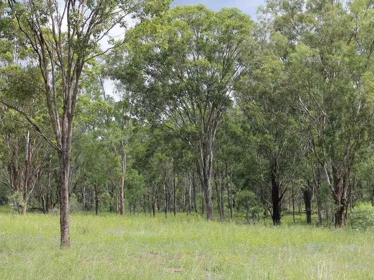 Lot 1 Leyburn-Cunningham Road, Wheatvale QLD 4370