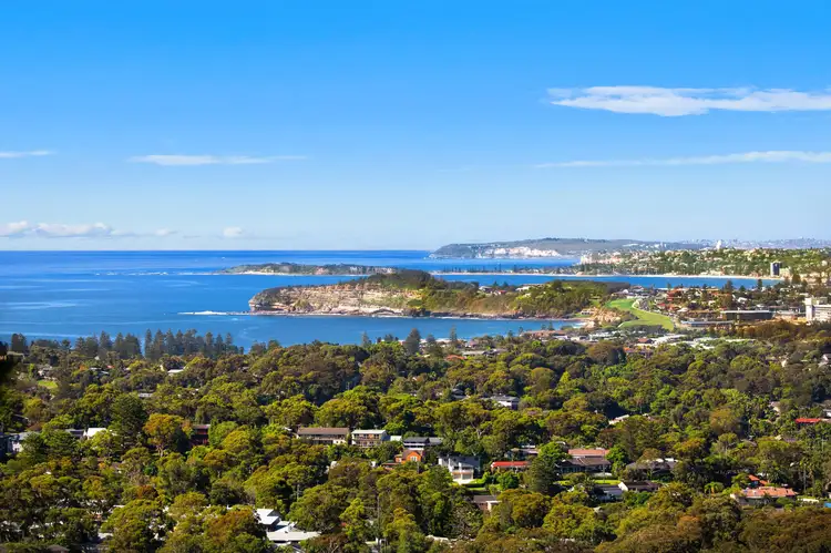 38 Cheryl Crescent, Newport NSW 2106