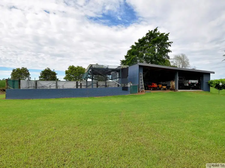 Fourth view of Homely house listing, 291 Jack Evans Drive, Silky Oak QLD 4854