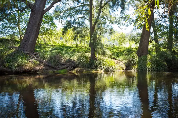 Third view of Homely rural property listing, 129 Glen Oaks Road, Brogo NSW 2550