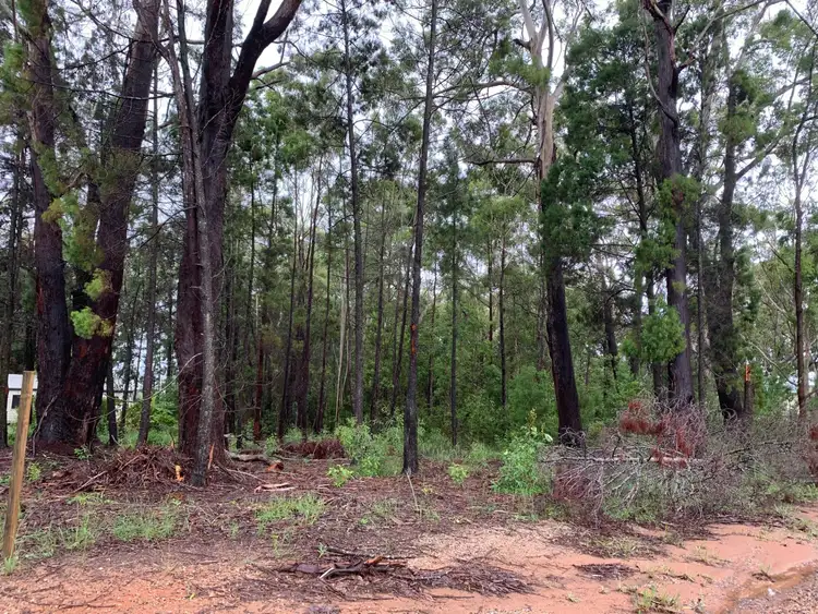 Third view of Homely land listing, 15 Fernbrook Avenue, Russell Island QLD 4184