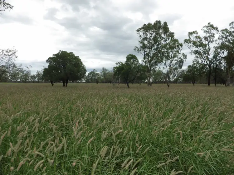 Main view of Homely rural property listing, 0 Rayners Road, Hodgson QLD 4455