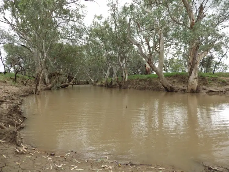 Second view of Homely rural property listing, 0 Rayners Road, Hodgson QLD 4455