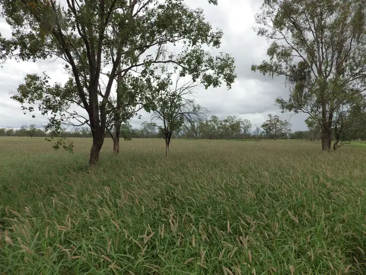 Third view of Homely rural property listing, 0 Rayners Road, Hodgson QLD 4455