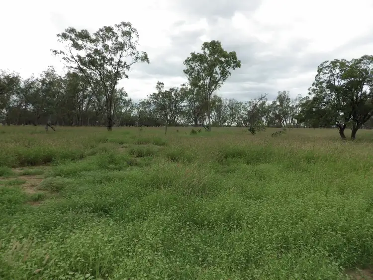 Fifth view of Homely rural property listing, 0 Rayners Road, Hodgson QLD 4455