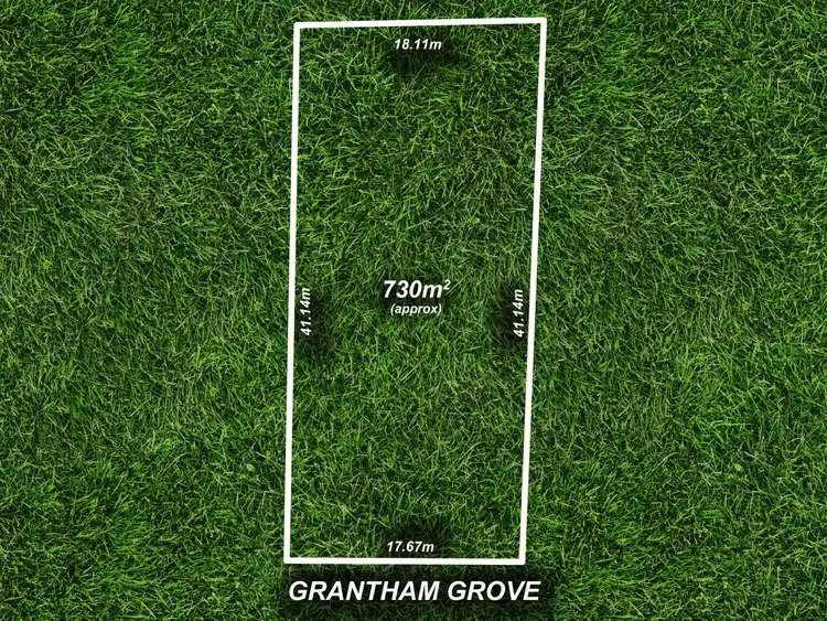 Second view of Homely house listing, 14 Grantham Grove, Paradise SA 5075