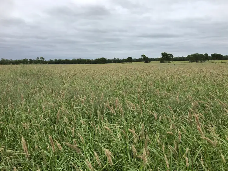 Second view of Homely rural property listing, Address available on request