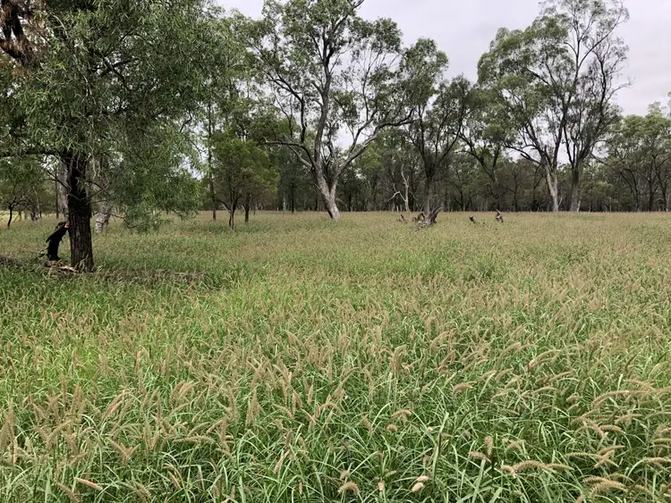 Third view of Homely rural property listing, Address available on request