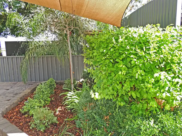 Third view of Homely house listing, 803 Murray Valley Highway, Swan Hill VIC 3585